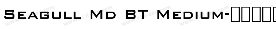 Seagull Md BT Medium字体转换